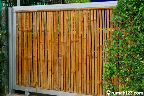 jenis bambu untuk pagar rumah - Austin North